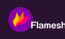 Featured image of post Flameshot broken with the new update